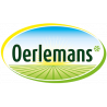 Oerlemans